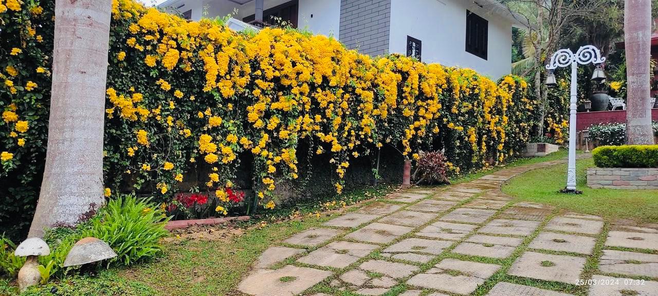 WhatsApp-Image-2025-06-24-at-3.55.34-PM