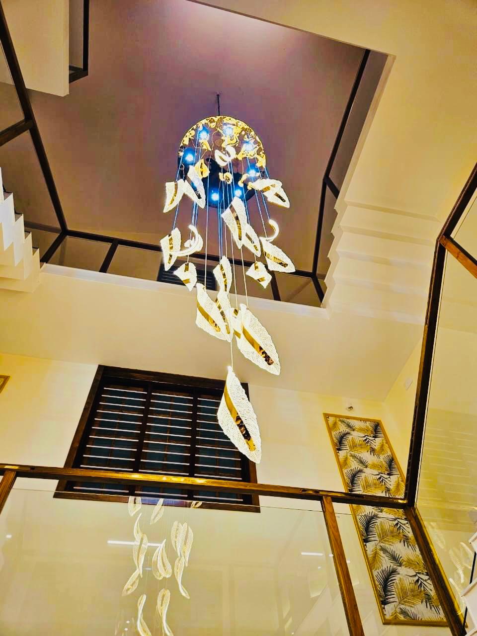 WhatsApp Image 2025-06-25 at 2.17.51 PM