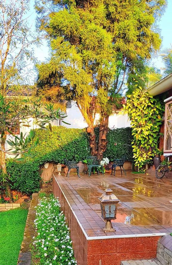 WhatsApp Image 2025-06-25 at 7.09.47 PM